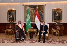 Egypt signs 14 investment deals worth $7.7B with Saudi Arabia
