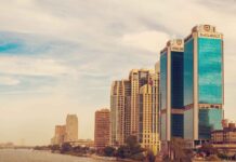 Egypt’s cabinet approves listing of army companies Wataniya and Safi