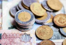 Egyptian pound plunges to record low against the US dollar