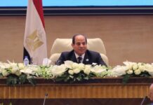 Egypt’s President Sisi banks to help clear import backlog within days