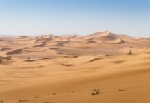 Bain & Co. partners with WEF to tackle climate change in MENA region