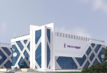 Egypt offloads 9.5% stake in Telecom Egypt for $121 million Egypt sold 162 million shares for EGP 23.11 apiece