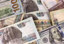 Egypt’s Noqood Finance secures SME finance licence Egypt’s Noqood Finance secures SME finance licence